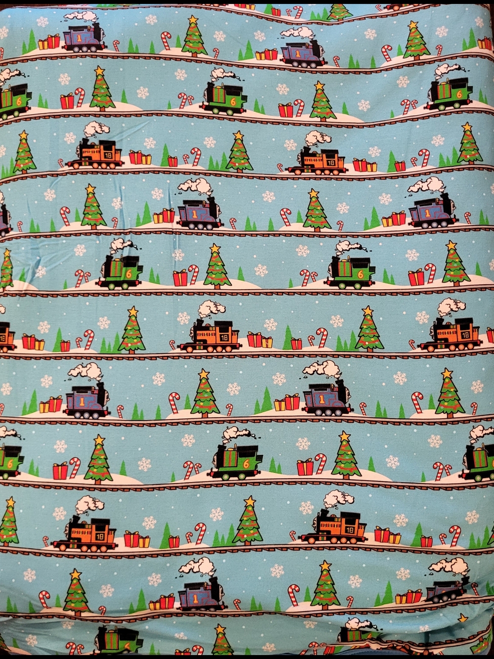 The Sleepy Sloth Thomas And Friends Adult Blanket 60x90